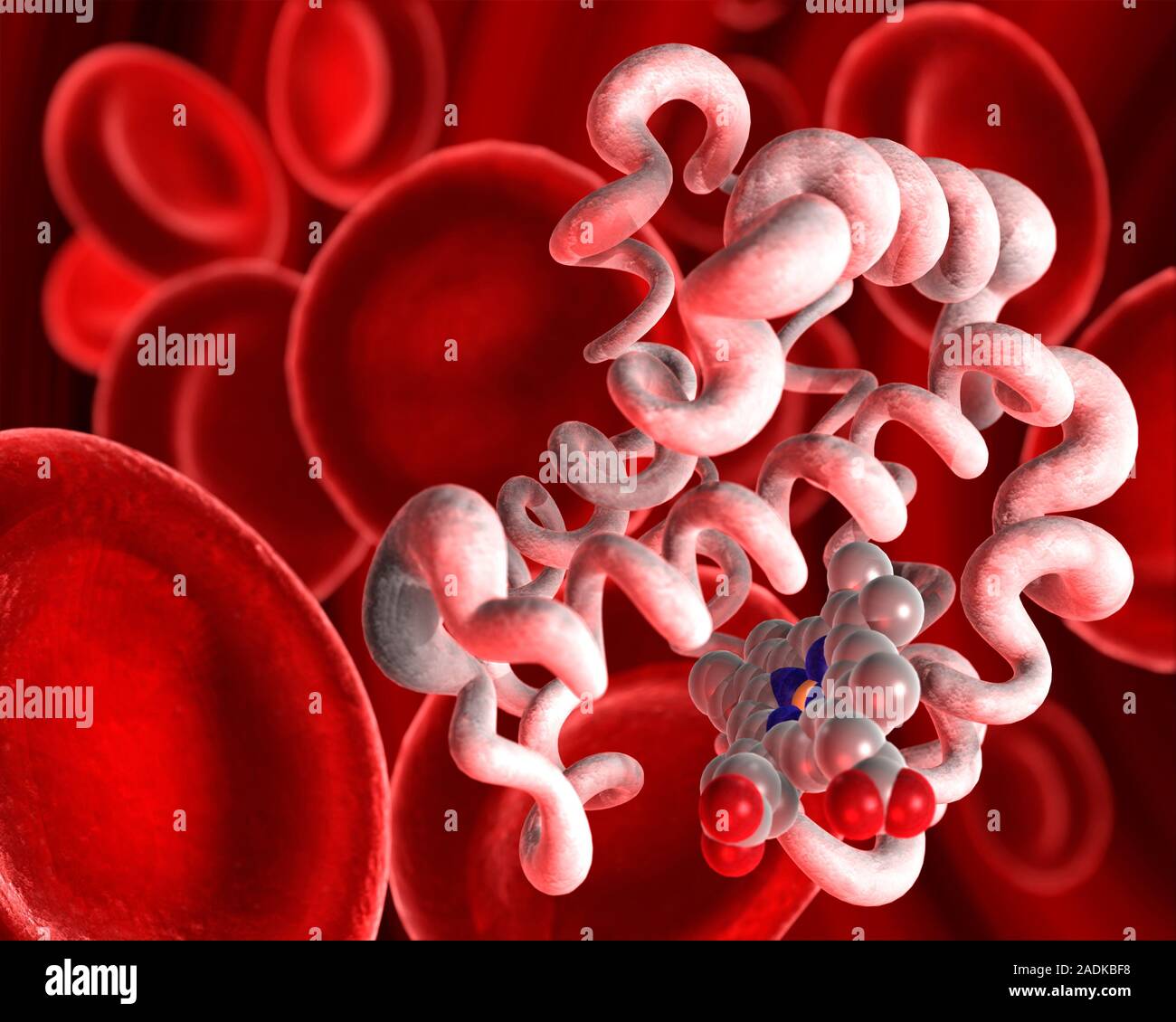 Белки в крови человека какие. Гемоглобин 107. Гемоглобин это белок крови. Гемоглобин под микроскопом. Гемогралин.