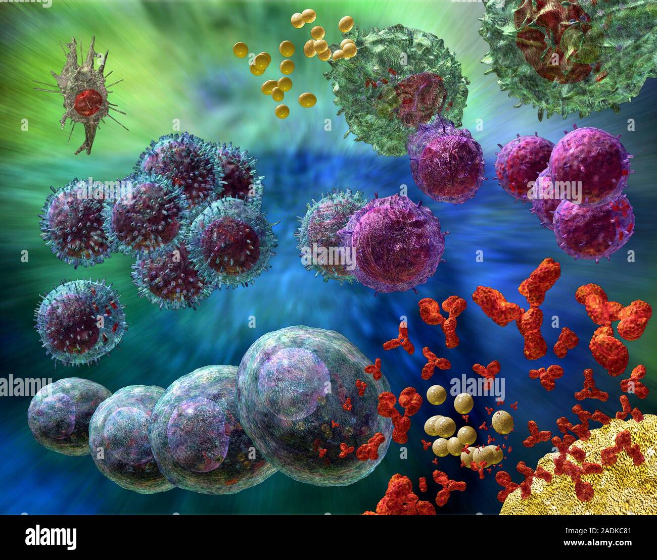 Микро клеток. Иммунные клетки. Клеточная иммунология это. Лимфоциты. Красивые клетки иммунитета.