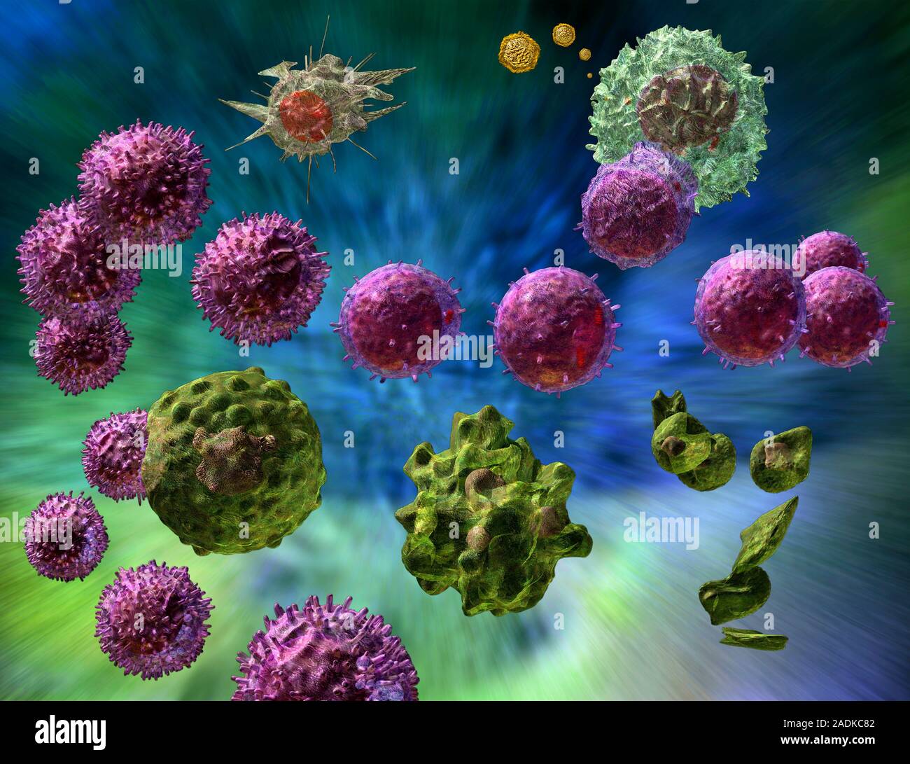 Инфекции иммунных клеток. Макрофаги, фагоциты, лимфоциты. Клетки иммунной системы фагоциты. Т лимфоциты фагоцитоз. Иммунокомпетентные клетки фагоциты и.