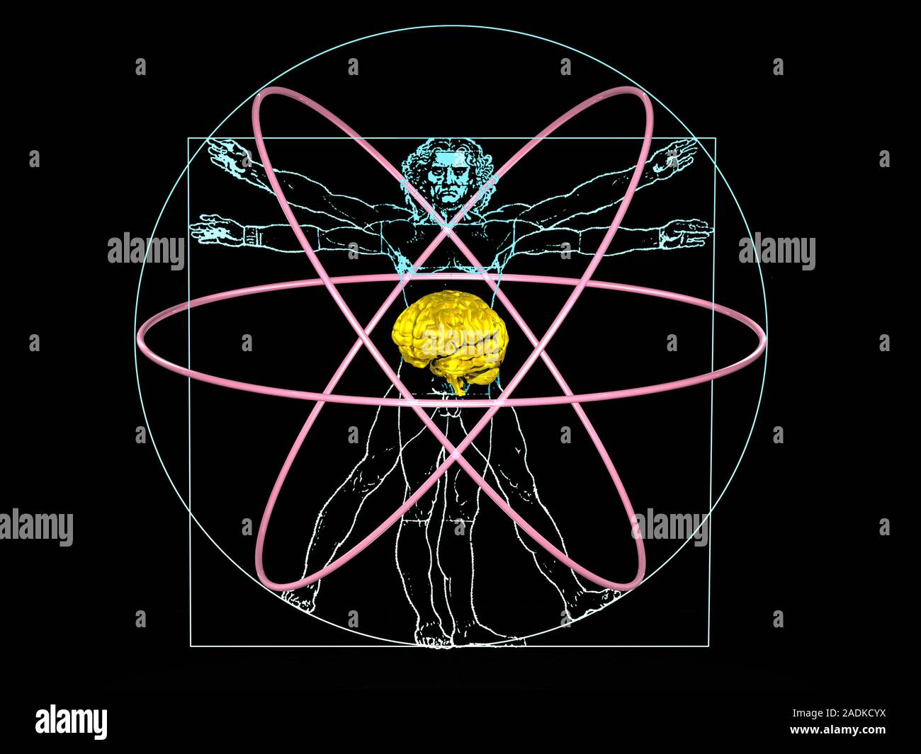 Human intelligence. Conceptual artwork representing human intelligence. It has a human brain as the nucleus (centre) of an atom, surrounded by electro Stock Photo