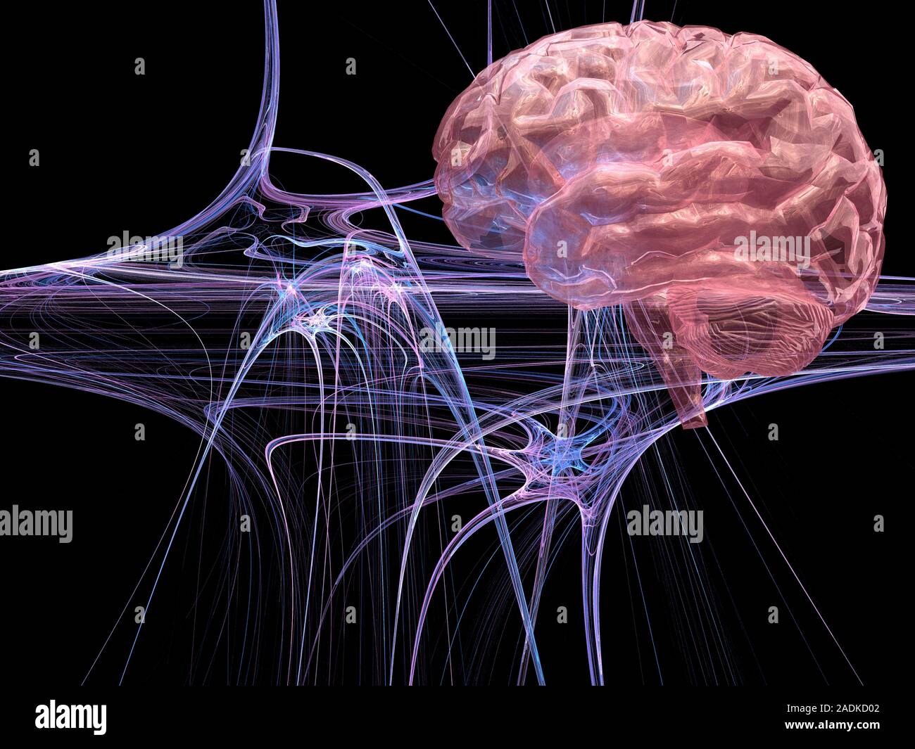 Скорость импульса мозга. Импульсы головного мозга. Нейроны головного мозга. Мозговые клетки.