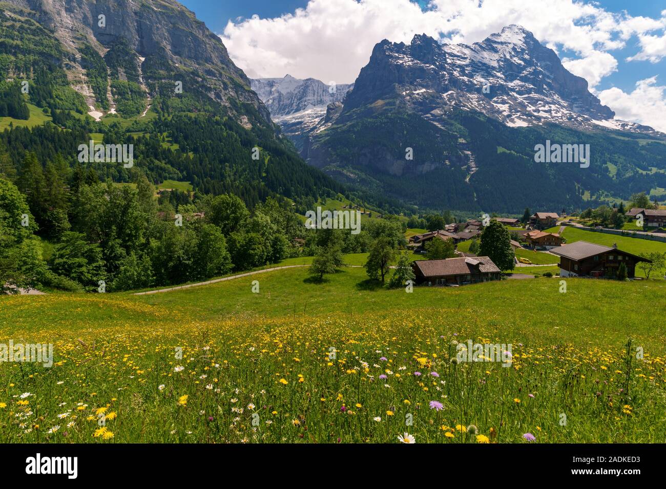 House In The Foreground Of The Swiss Alp Mountains Switzerland Stock Photo Alamy House In The Foreground Of The Swiss Alp Mountains Switzerland Stock Photo Alamy
