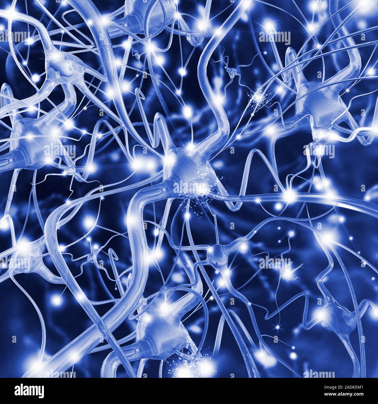 Соединить картинки нейросеть. Нейронная сеть. Сеть нейронов. Нейронные связи. Нейросеть.