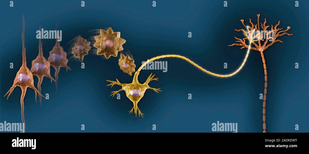 Creating New Neural Pathways