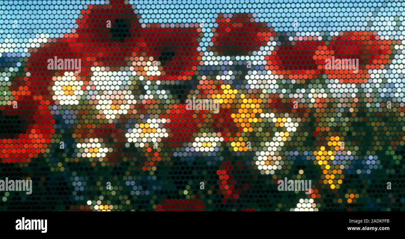 Insect view of flower meadow. A wild flower meadow viewed through an insect's compound eye. Amongst the flowers seen here are red poppies, blue cornfl Stock Photo