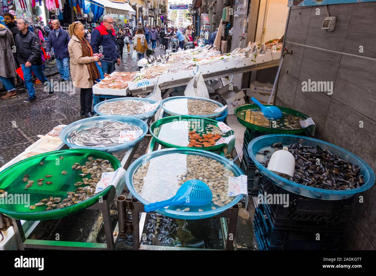 Fish seafood stall, Mercantino della Pignasecca, Pignasecca street market, Quartieri Spagnoli, Naples, Italy Stock Photo