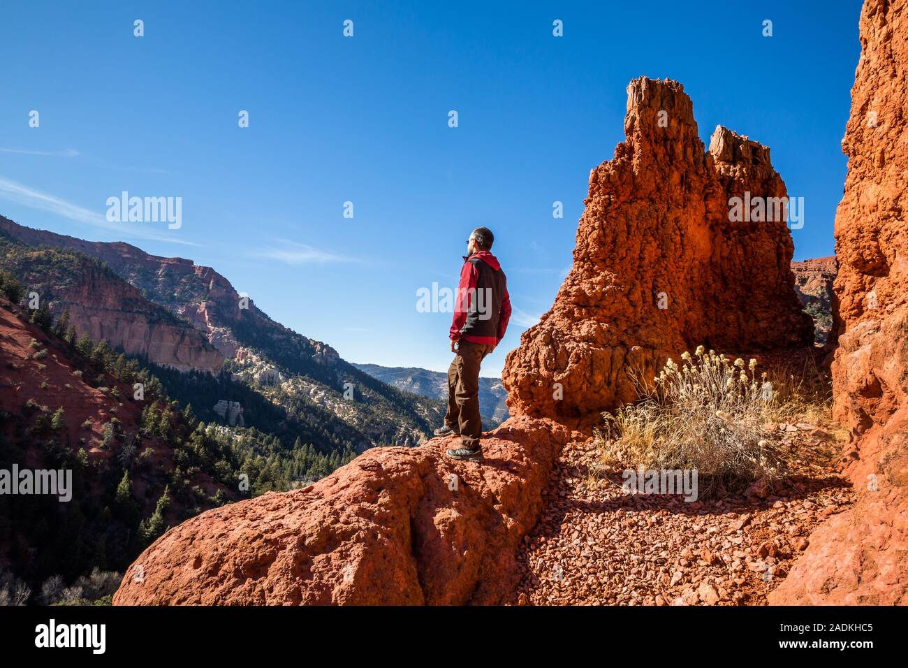 Young man standing atop a red rock tower over a cliff in Southern Utah admiring the view. Stock Photo