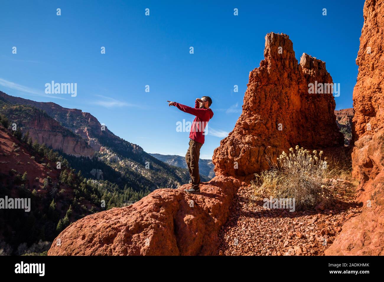 A hiker on top of a red rock cliff in Utah points into the distance while shielding his eyes from the Autumn sun. Stock Photo