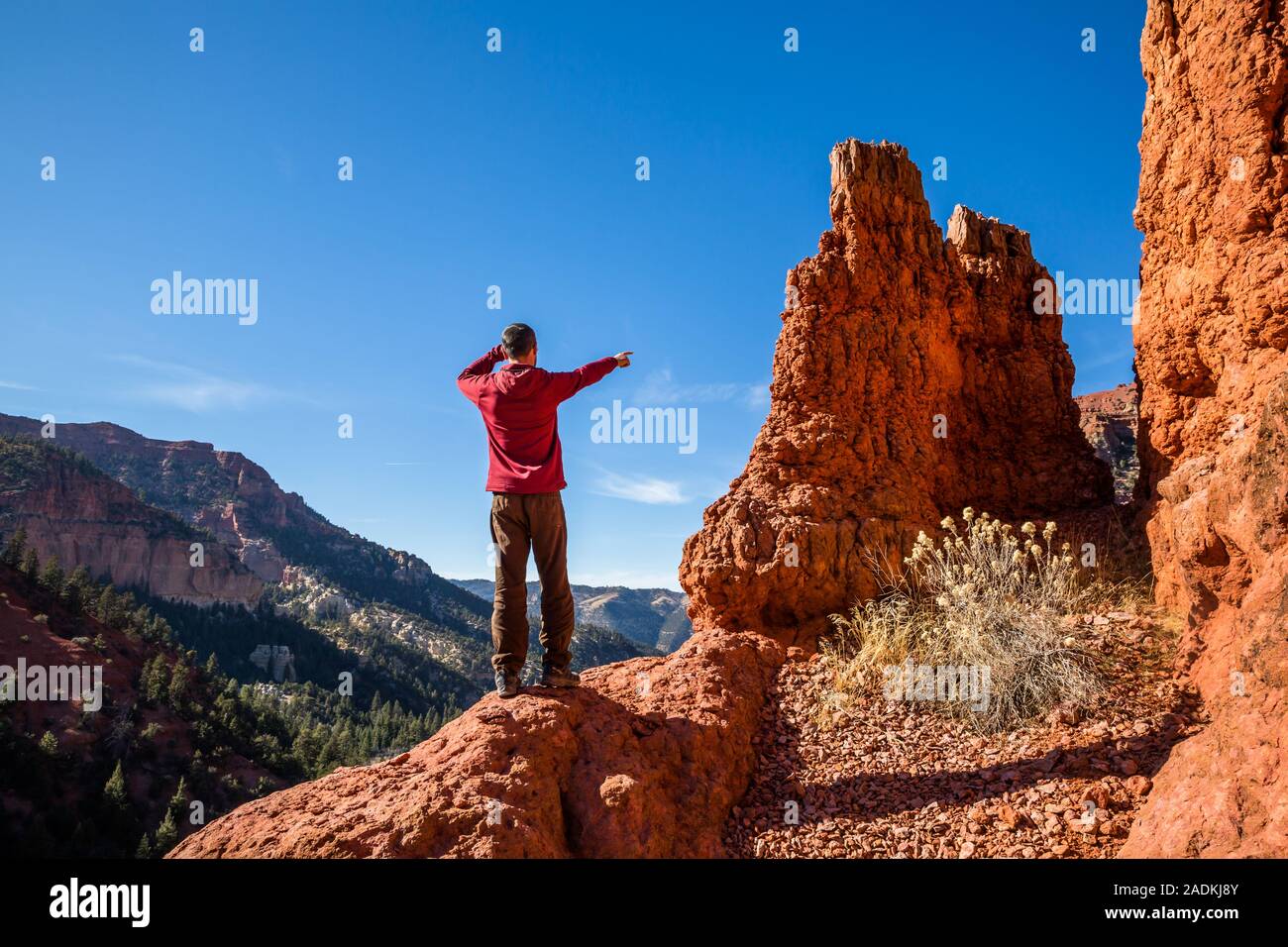 Man in a ared jacket among red rock hoodoo formations pointing at the view down canyon in the Utah desert. Stock Photo