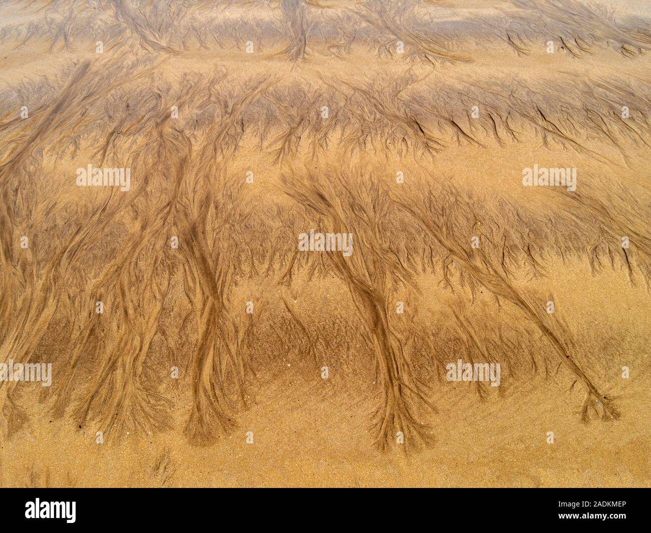 Patterns in golden beach sand caused by flowing water Stock Photo