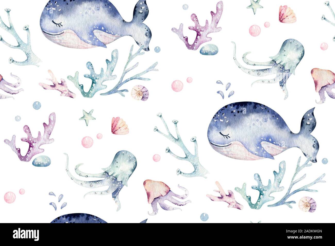 Sea animals watercolor hi-res stock photography and images - Alamy Sea animals watercolor hi-res stock photography and images - Alamy