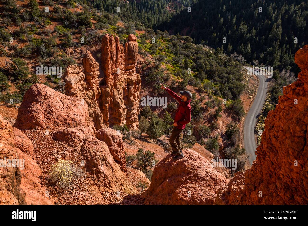 Looking down on a hiker pointing upward among red rock hoodoo tower formations of southern Utah near Bryce Canyon. Stock Photo