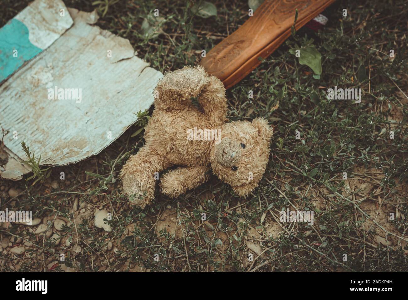 Old teddy bear laying on the dirty soil with other garbage Stock Photo
