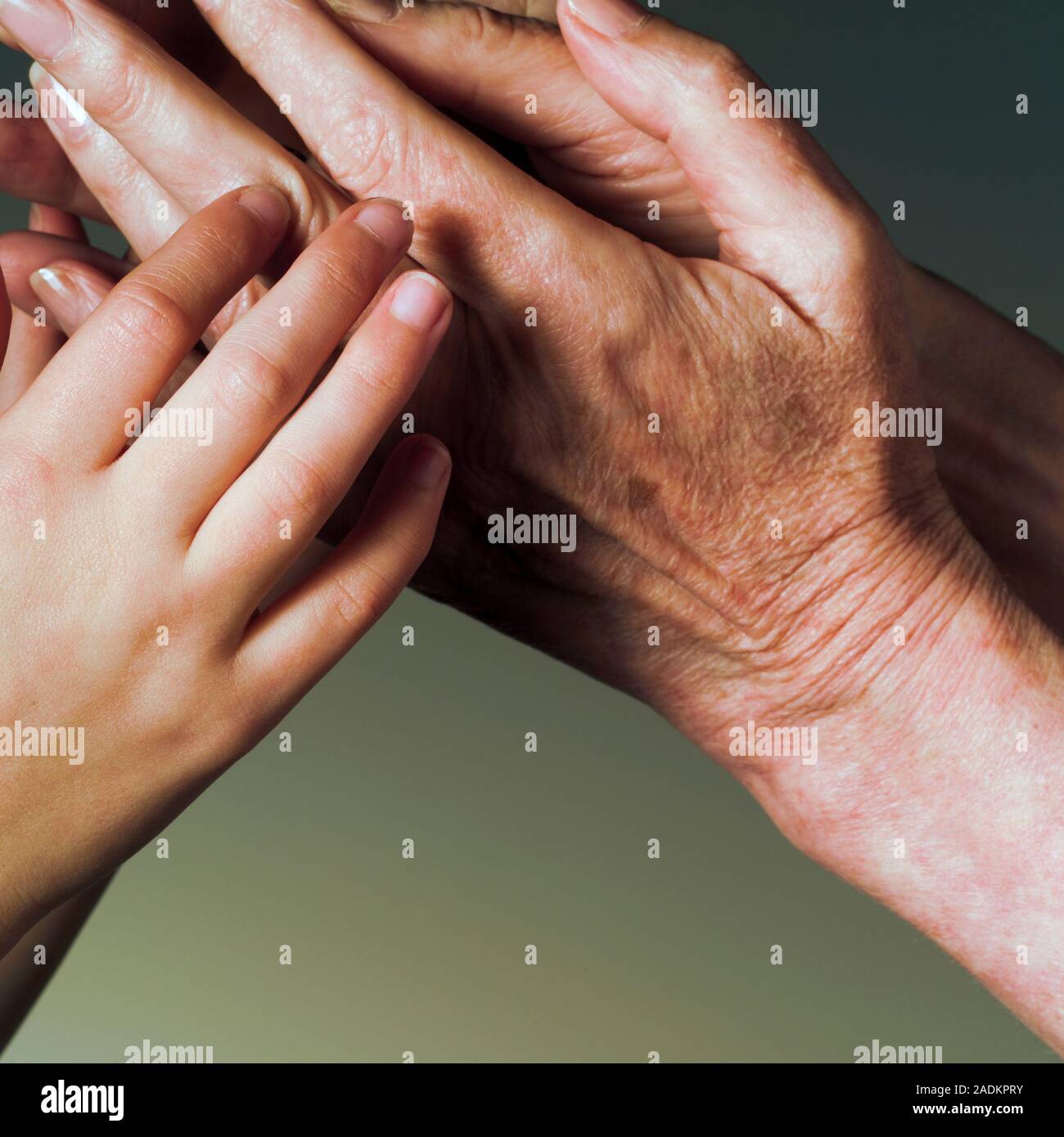 Generations. Hand of a child clasping the hands of an older person ...