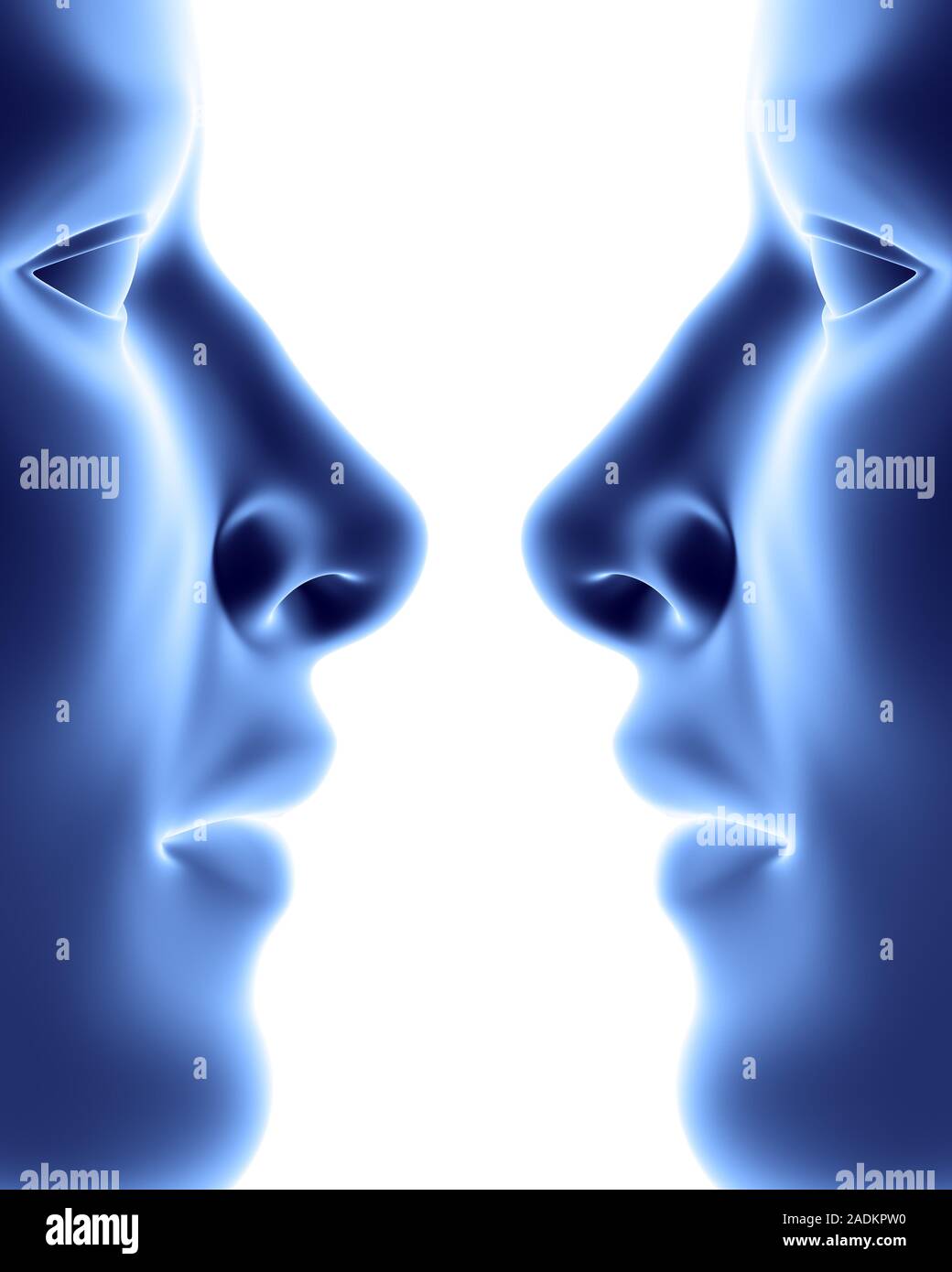 Faces. Computer artwork of two faces in profile. Stock Photo