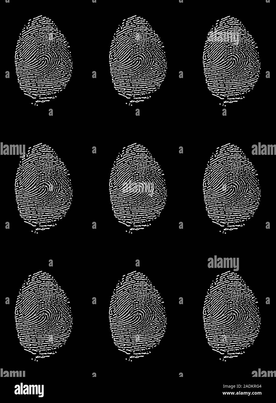 Human Handprint Ridges Human fingerprints, computer artwork. Fingerprints show the details of ...