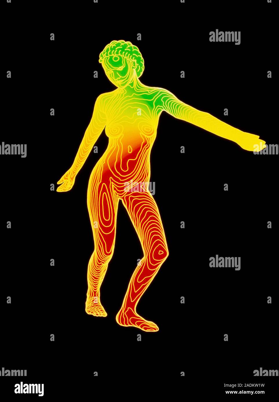 FOTUSフェトウス 1999AW Body Contour Map LST FOTUSフェトウス 1999AW Body Contour Map LST Landsat-8 Observations