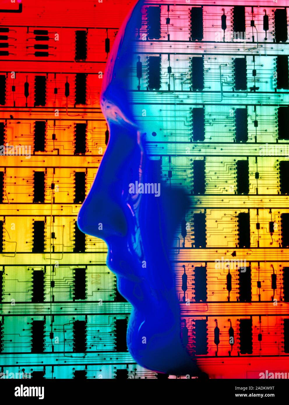 Abstract composite illustration featuring a model of a human head