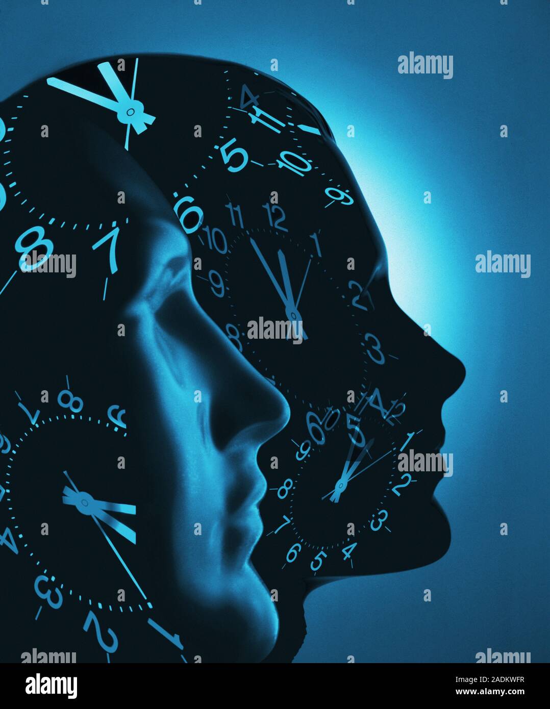 Biological clocks. Abstract conceptual computer artwork of clocks