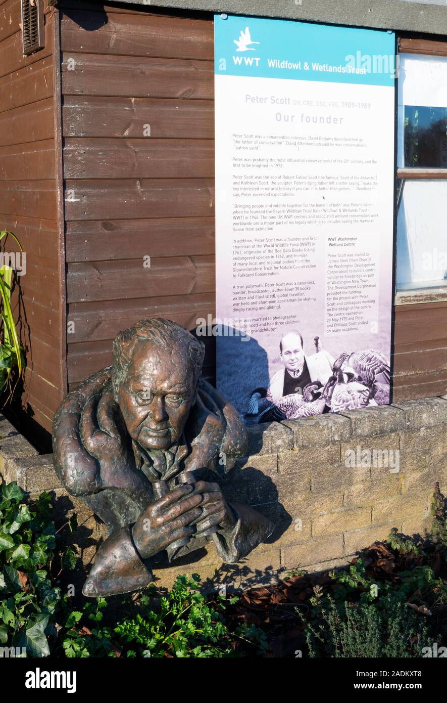 Bronze memorial bust of Sir Peter Scott with descriptive panel at ...