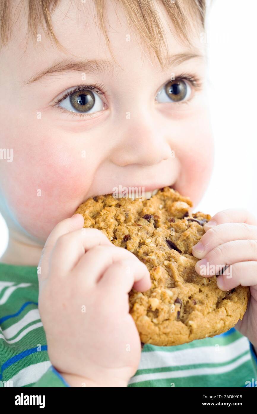 Toddler eating a chocolate chip cookie Stock Photo Alamy