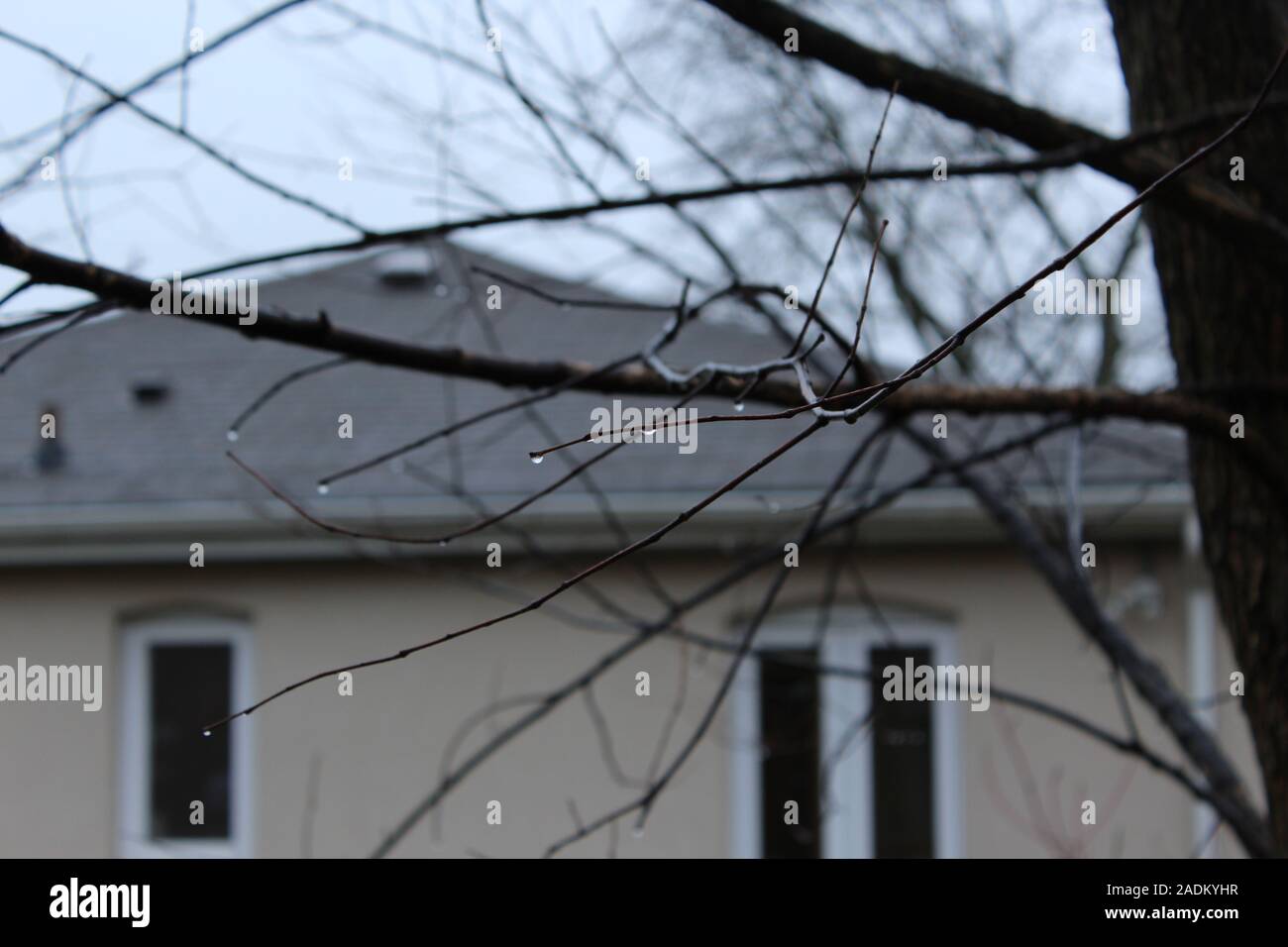House and Yard after rain Stock Photo - Alamy
