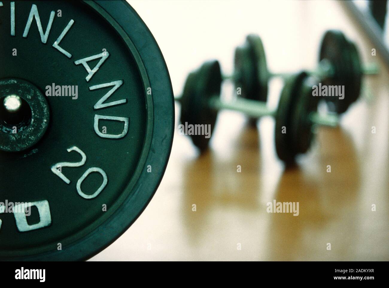 Dumb-bells in a gymnasium. Stock Photo