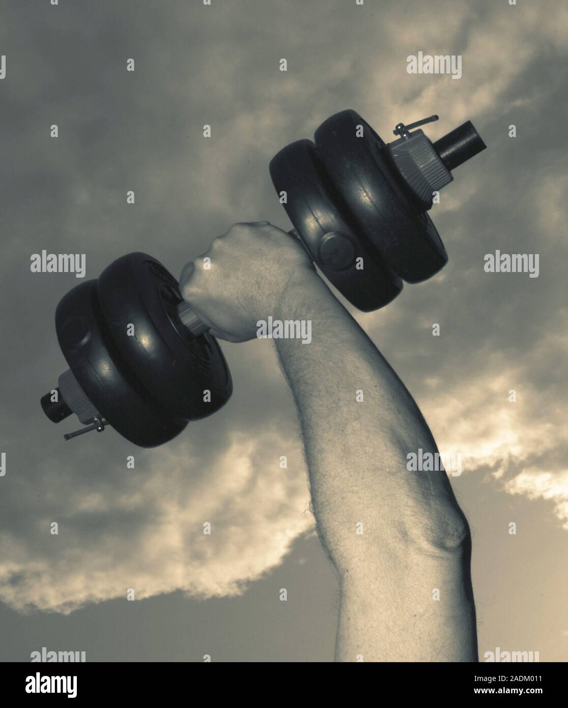 Dumb-bell. Dumb-bell lifted up against the sky during a workout. Stock Photo