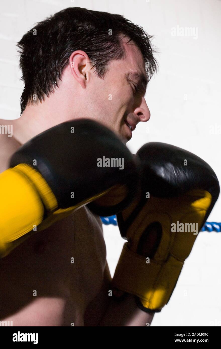 Boxer sparring with an unseen opponent. Boxing is a combat sport where