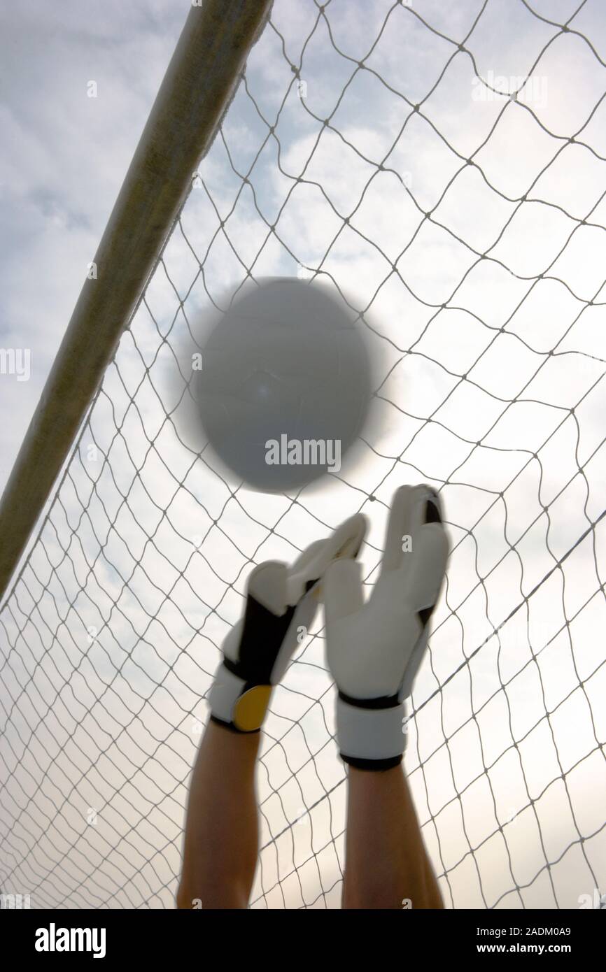 MODEL RELEASED. Goalkeeper's hands making a save Stock Photo Alamy