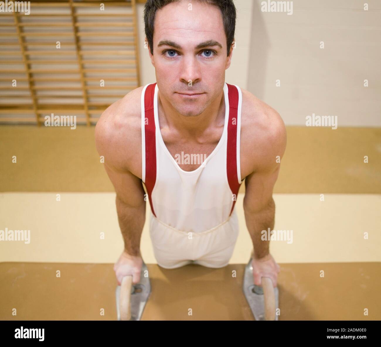 MODEL RELEASED. Gymnast mounting a pommel horse. This piece of