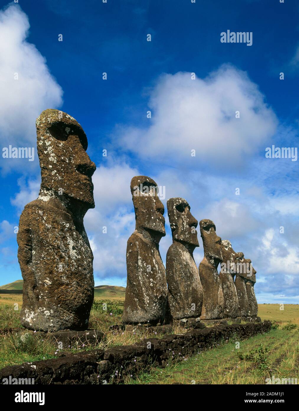 Easter Island Statue Wiki At Corrina Davis Blog