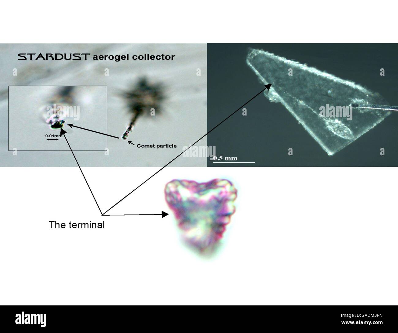 Comet dust particle from the Stardust mission. Light micrographs of a