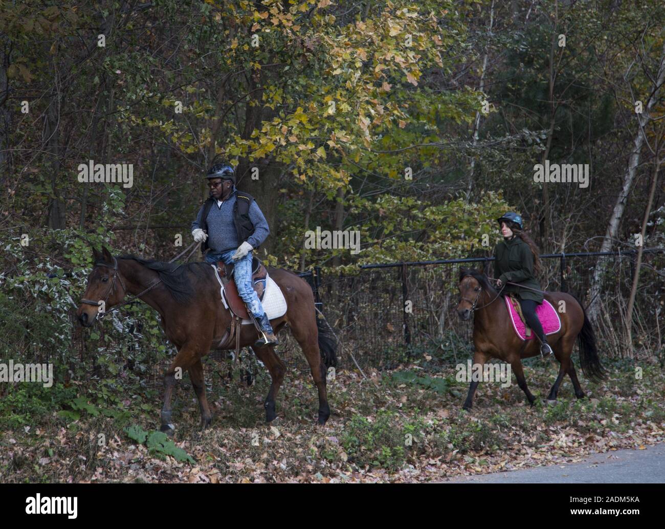 Bridle path brooklyn hires stock photography and images Alamy