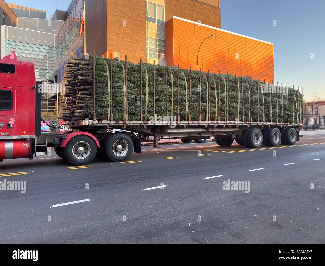 Truck Delivers Christmas Trees Brought From Quebec Canada To Be
