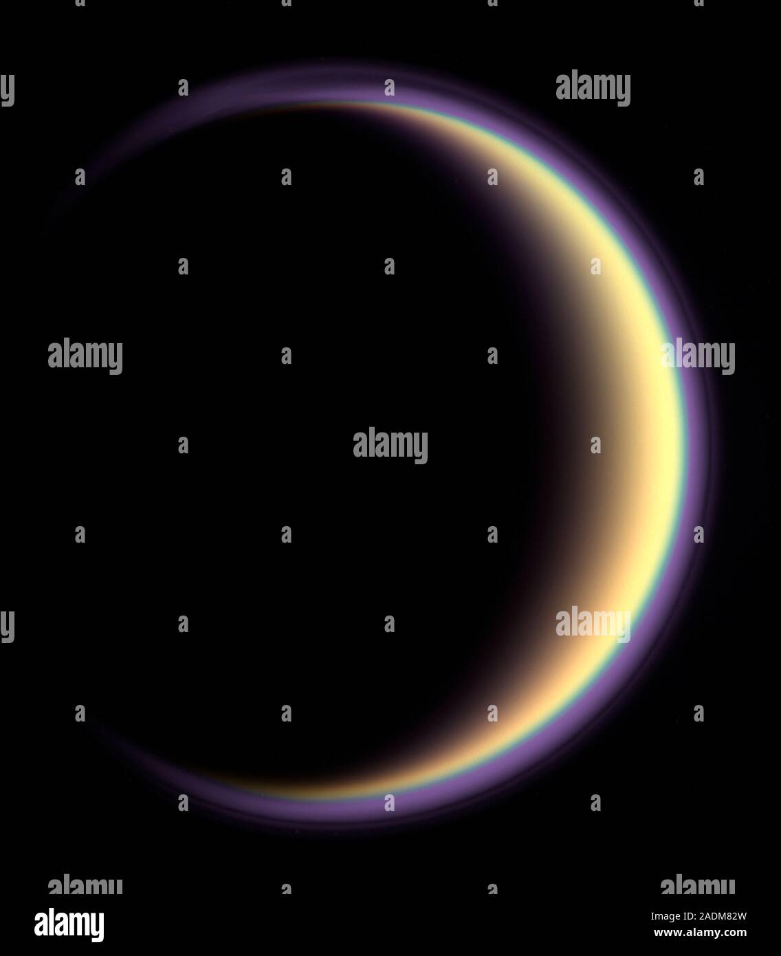 My Image 31