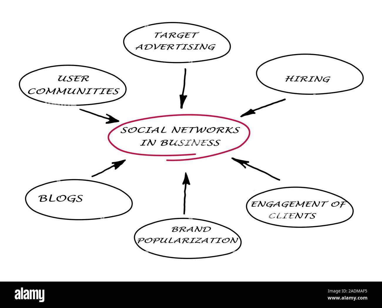 Social networks in business Stock Photo Alamy