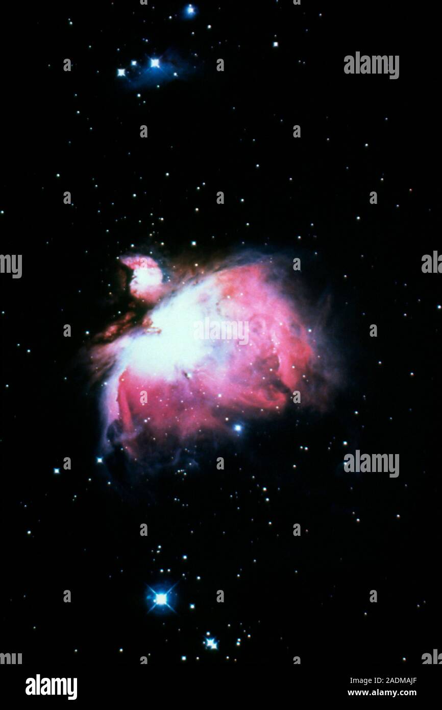 The Orion Nebula (M42), a bright cloud of gas & dust where stars are in ...