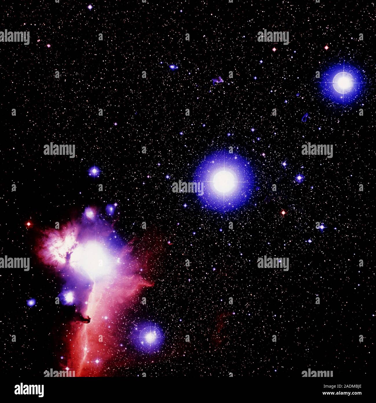 Orion s belt stars. True colour optical image of the stars Zeta Orionis Alnitak lower left Epsilon Orionis Alnilam centre and Delta Orionis Mi Stock Photo Alamy