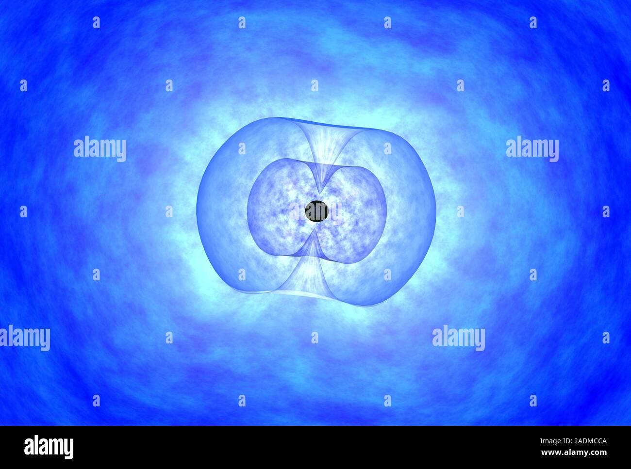 Gamma ray burst formation. Image 3 of 5. Computer artwork of the core ...