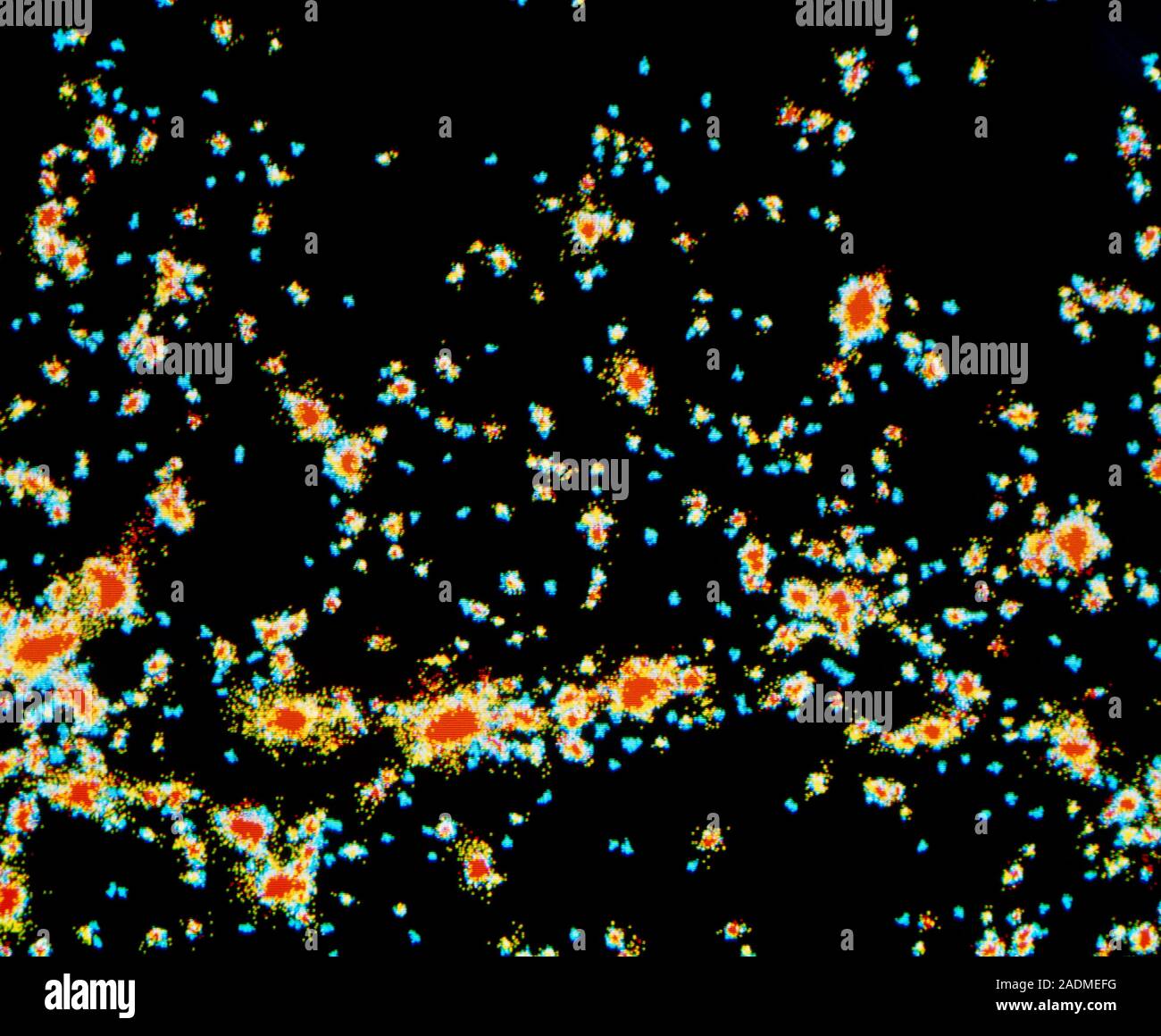 Galaxy distribution. Computer model showing the distribution of