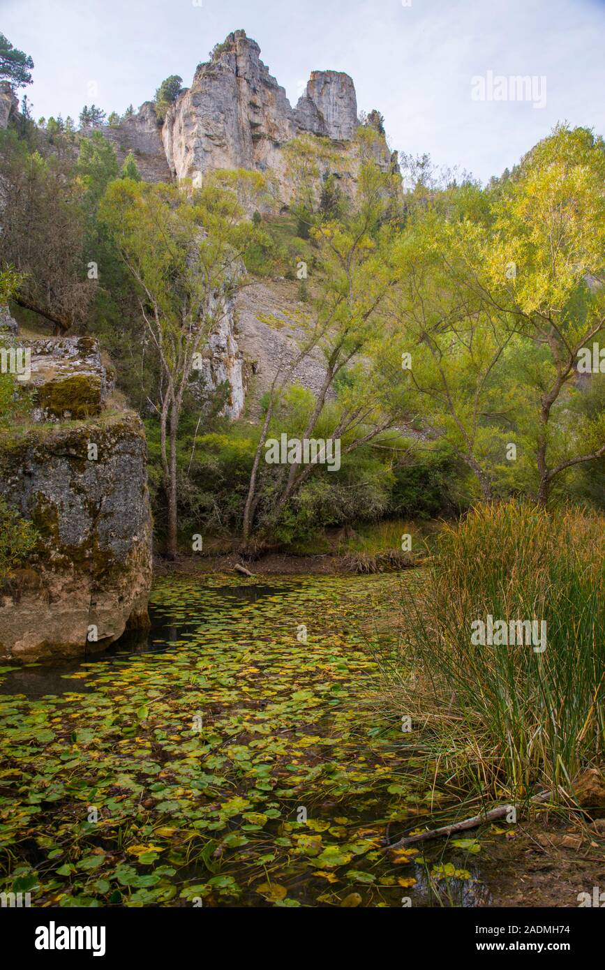 River Lobos. Cañon del Rio Lobos Nature Reserve, Soria province, Castilla Leon, Spain. Stock Photo
