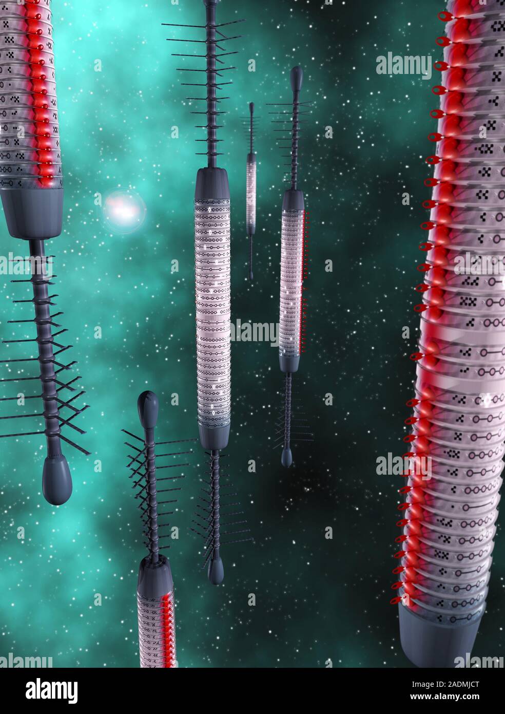 Spaceblooms. Computer artwork of maileus spaceblooms, part of a ...