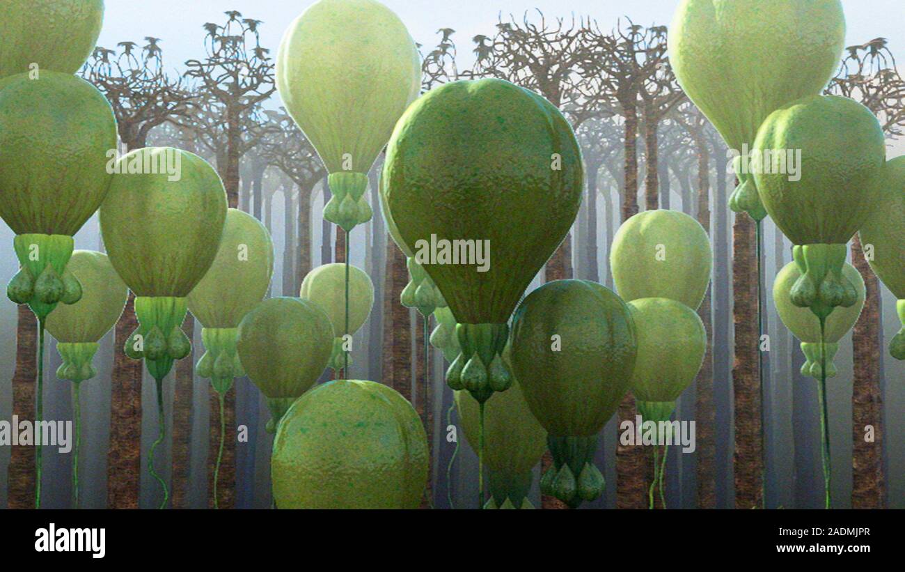 Alien plants. Computer artwork depicting scientist's impression of alien  plants shaped like balloons. Specific atmospheric and environmental  condition Stock Photo - Alamy
