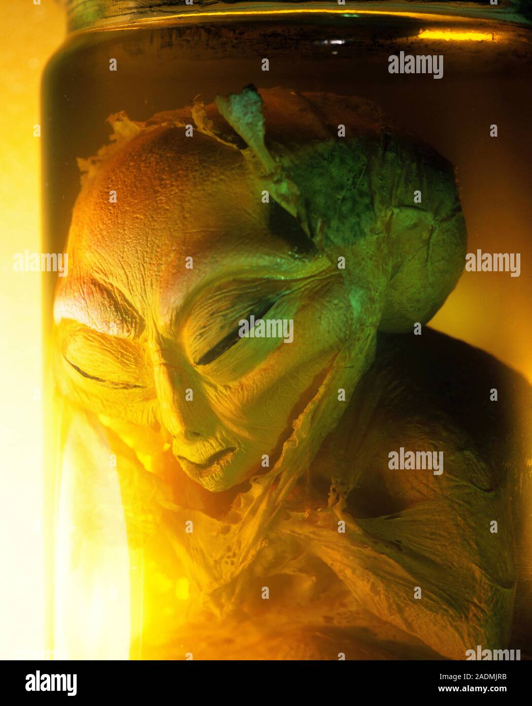 Alien. Computer artwork of an alien specimen in a glass jar. This could