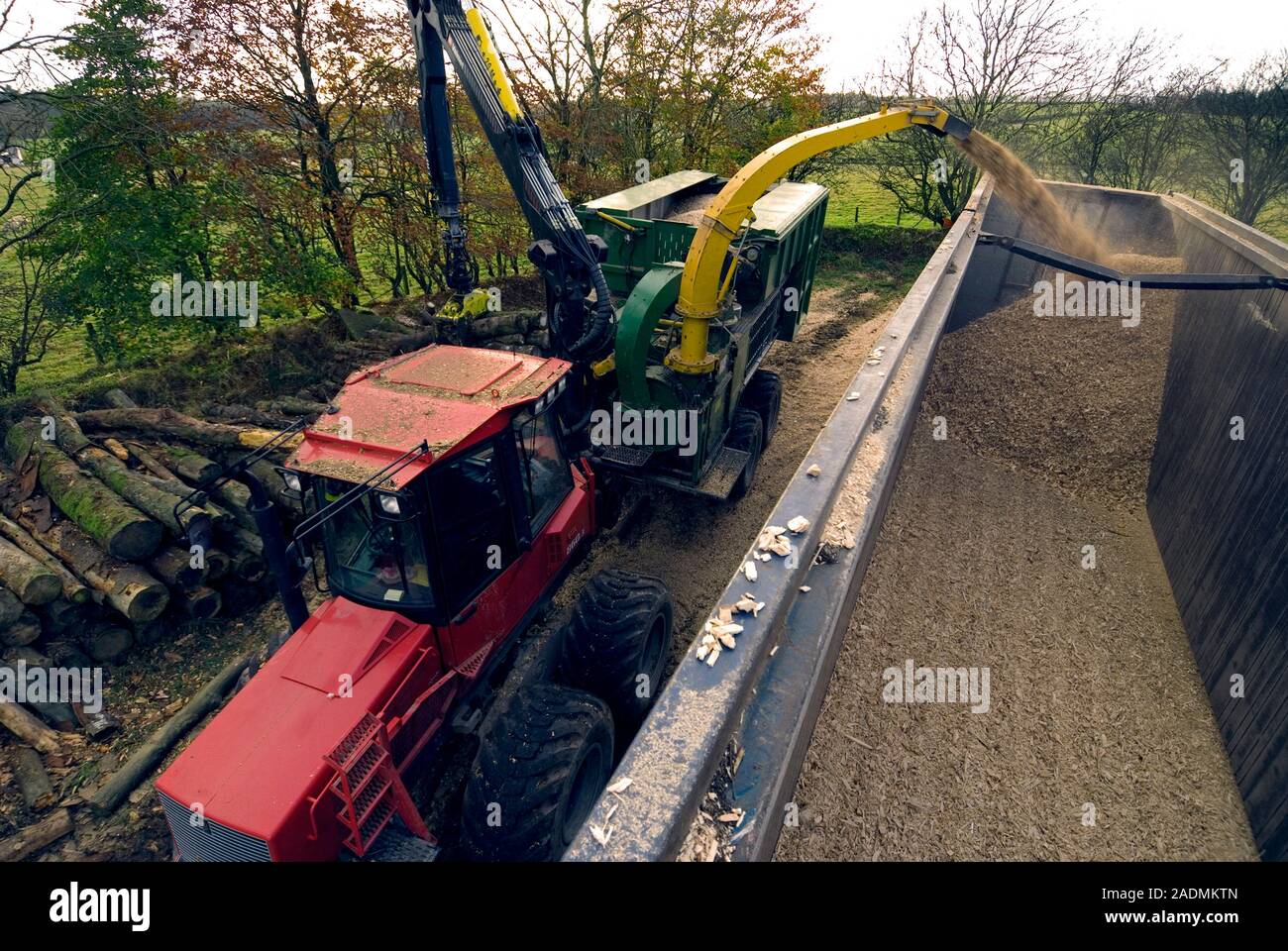 Wood chipper chipping timber. The chipper can produce around 20 tonnes