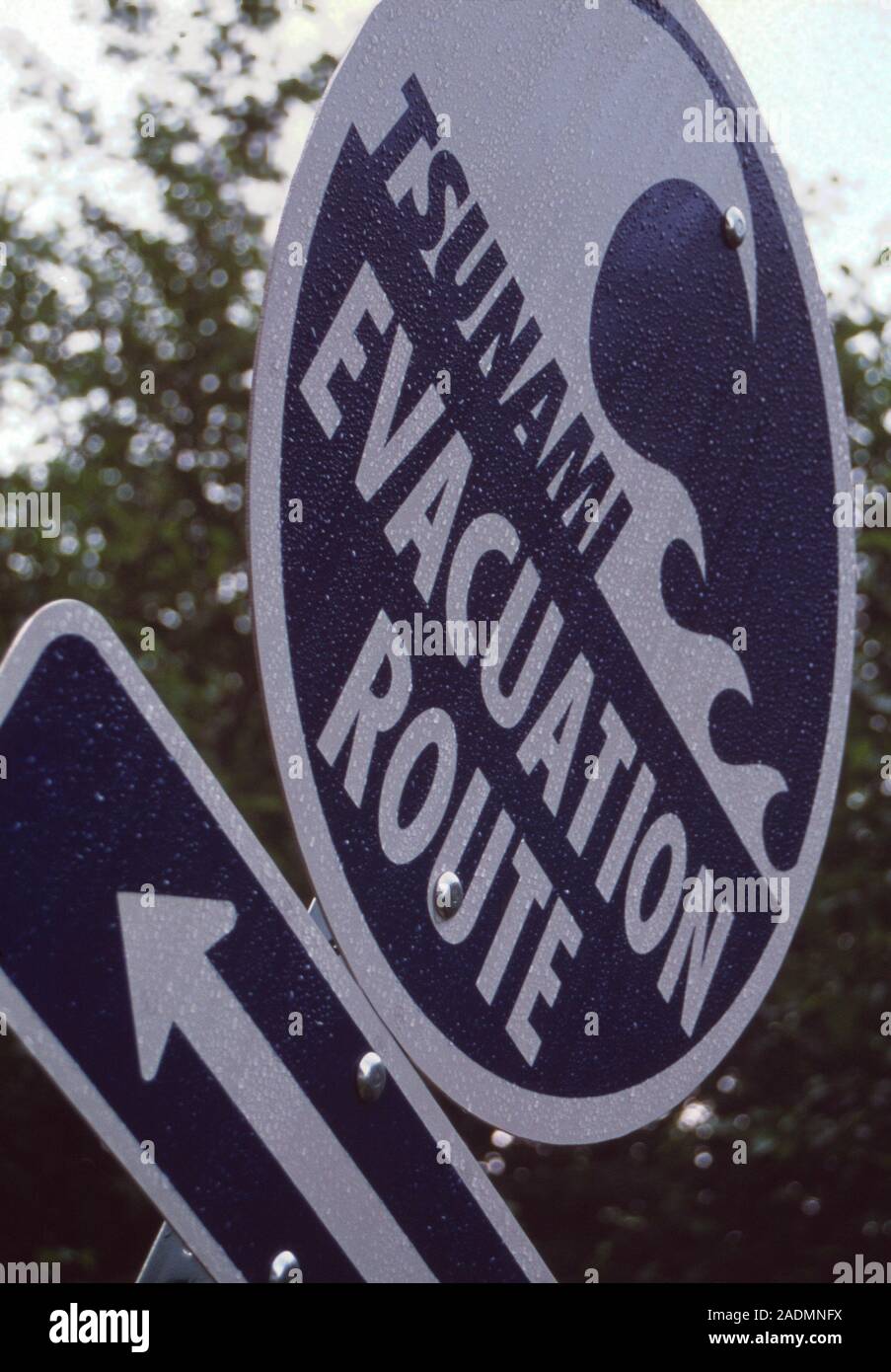 Tsunami evacuation route sign