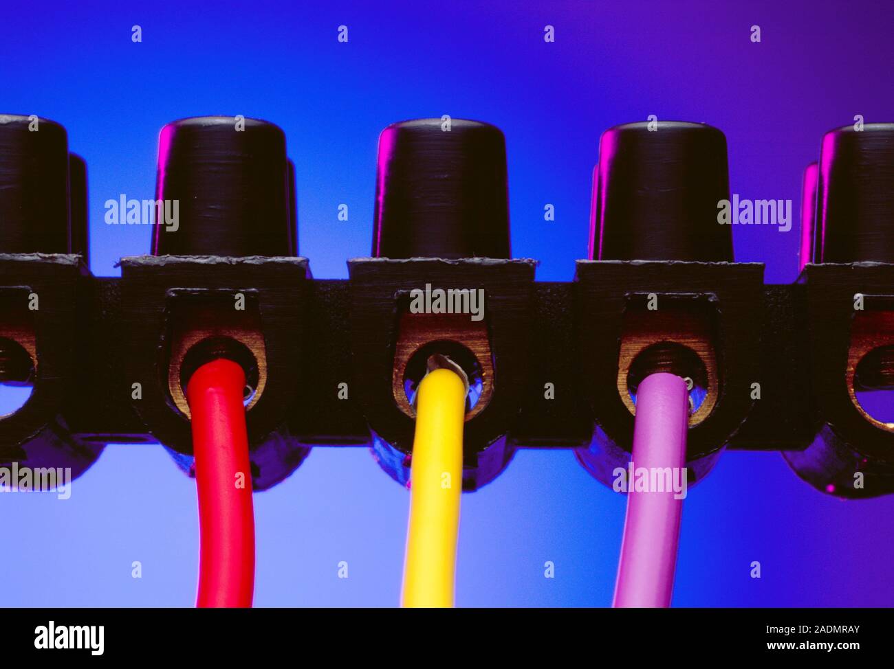 Electrical terminal block. Electrical wires connected in a terminal