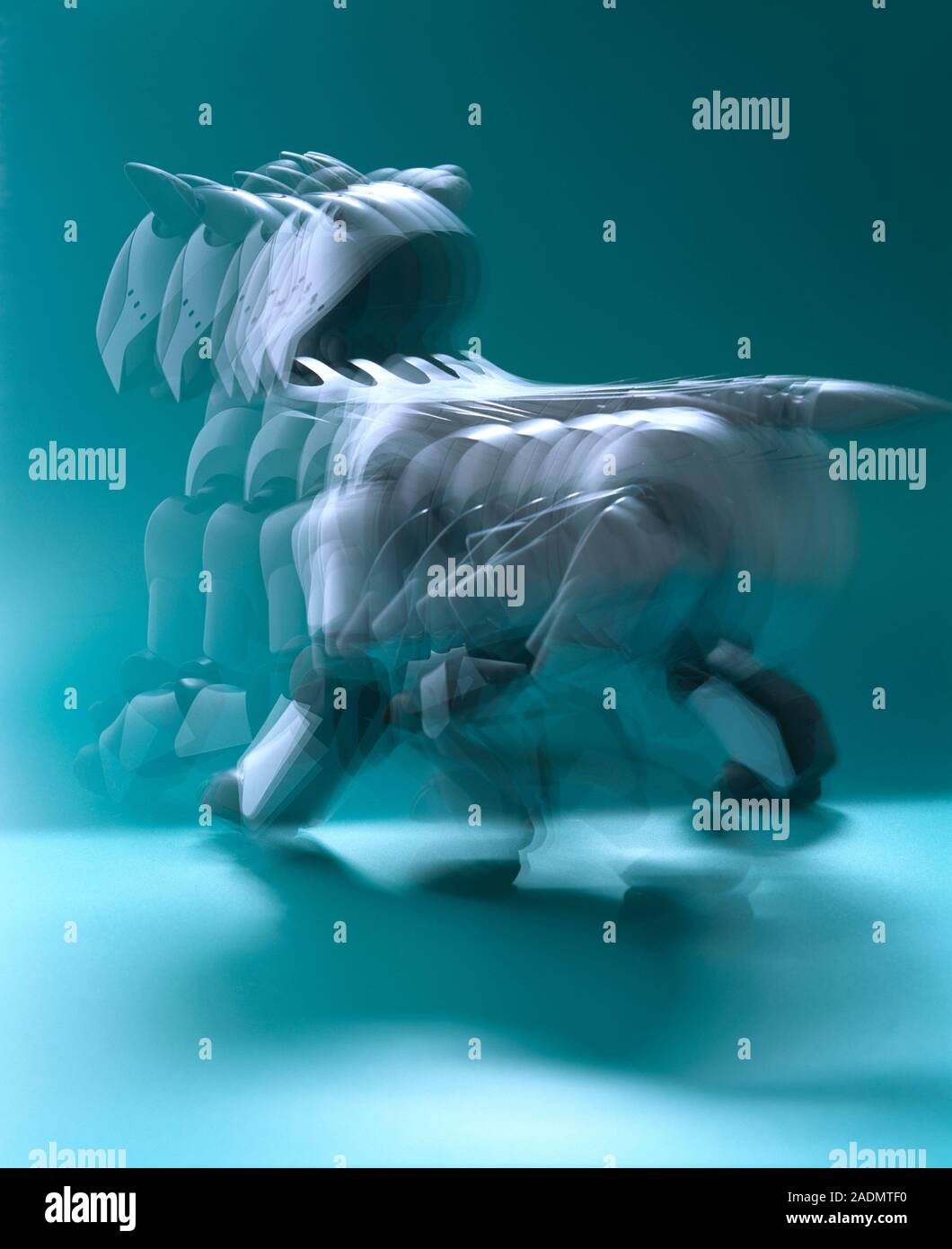 Robotic dog. Stroboscopic image of the Japanese robot dog toy AIBO (Artificial Intelligence Robot) walking. AIBO is also Japanese for buddy. The robot Stock Photo