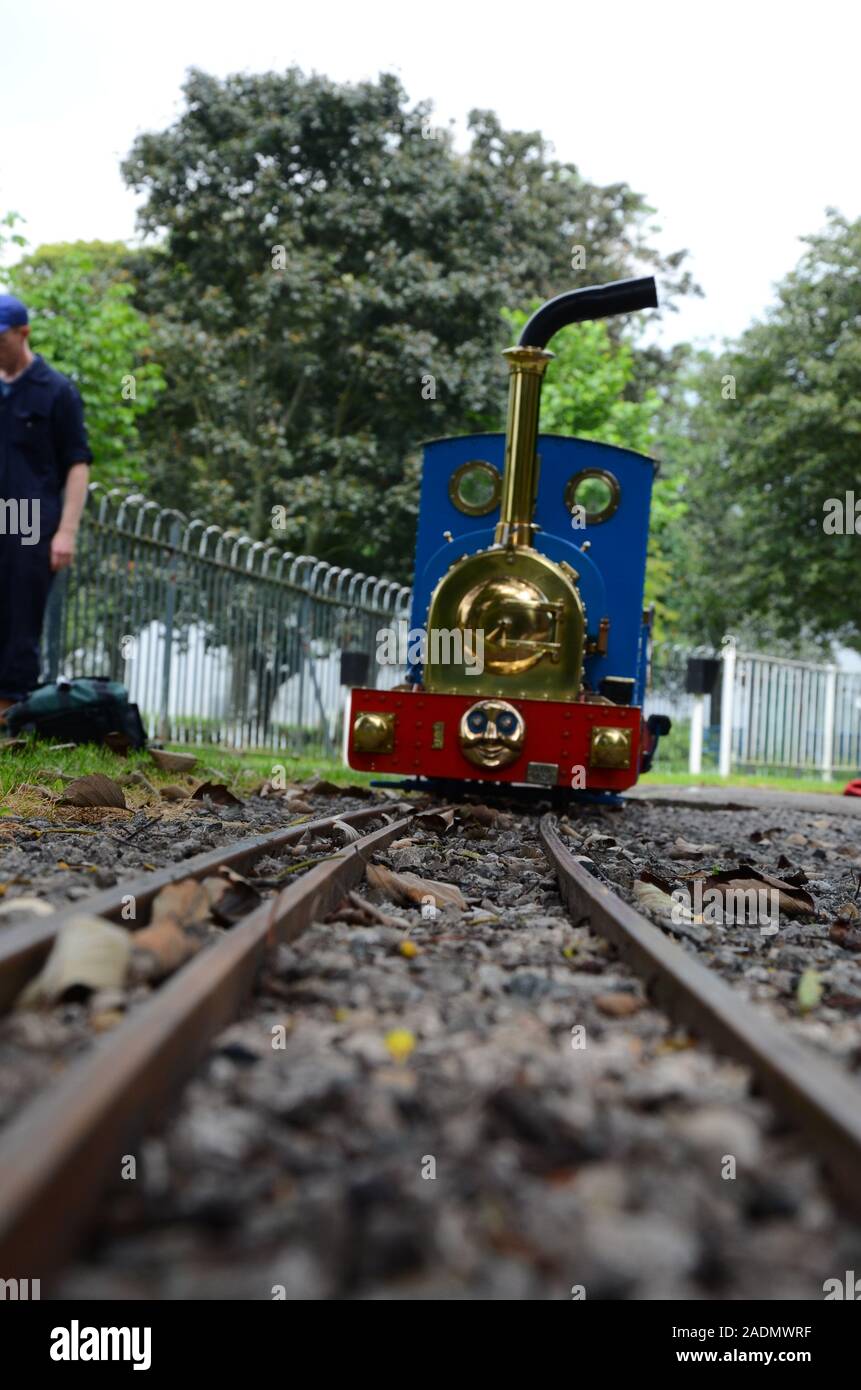 Small Gauge Railroad Track